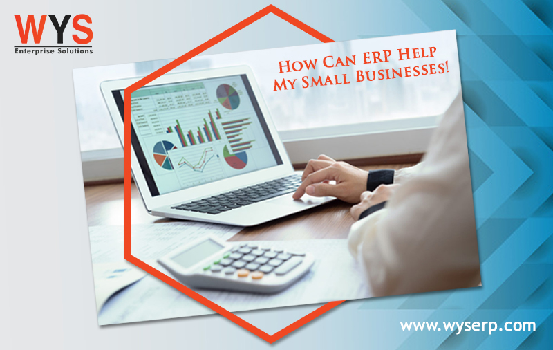 How Can ERP Help My Small Businesses!
