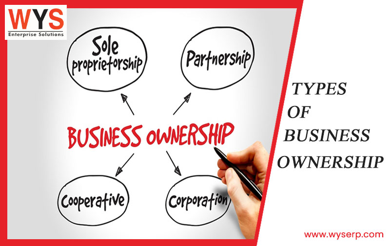 Types of Business Ownership: Everything You Need to Know