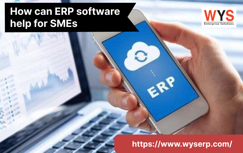 How Can ERP Software Help For SMEs